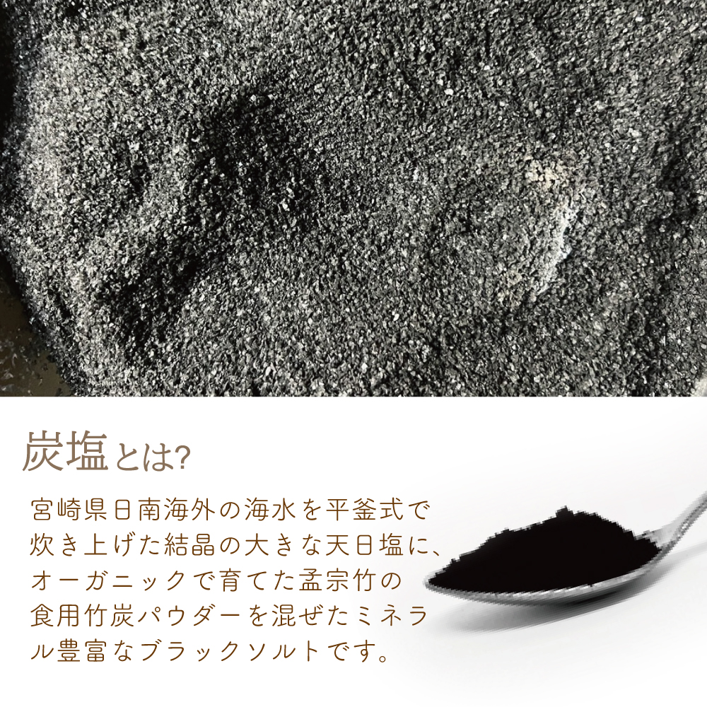 炭塩(パウチタイプ:内容量30g)