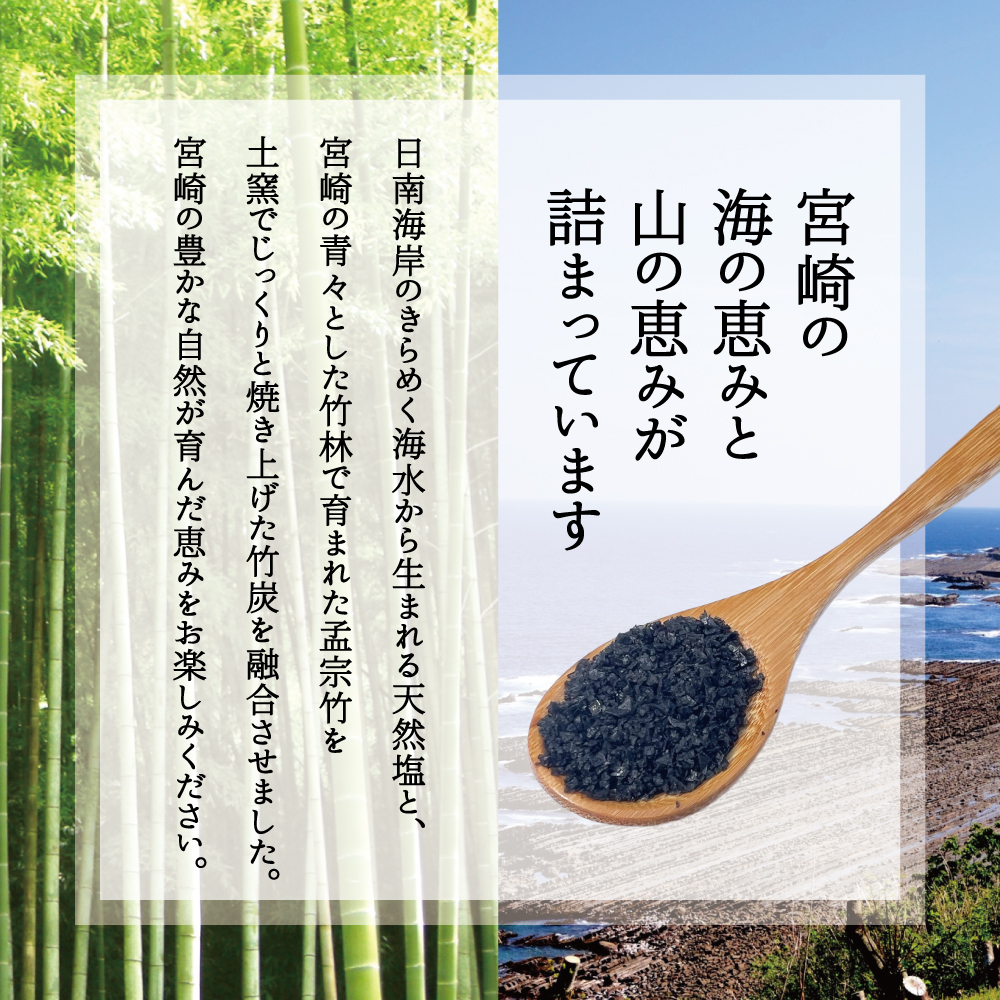 炭塩(パウチタイプ:内容量30g)