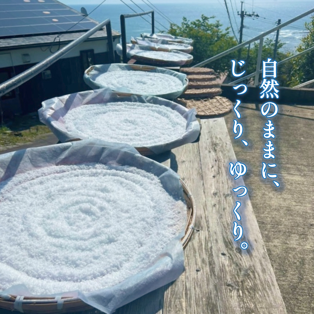 炭塩(パウチタイプ:内容量30g)